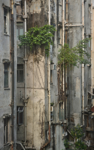 Illustration for article titled These post-apocalypse images of Hong Kong are actually real photos